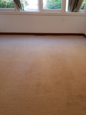 Knight Carpet Cleaning Pic 4