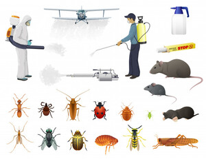 Ace Pest Control Pic 4