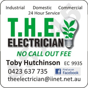 T.H.E. Electrician Pic 2