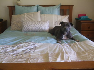 Emski's Pet Vacations Pic 5