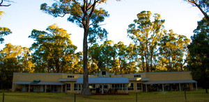 Inn The Tuarts Guest Lodge Pic 3 - Surrounded by tall Tuarts trees and nature