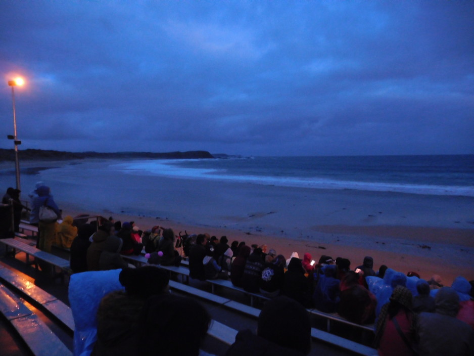 Phillip Island Pengui Parade Pic 1