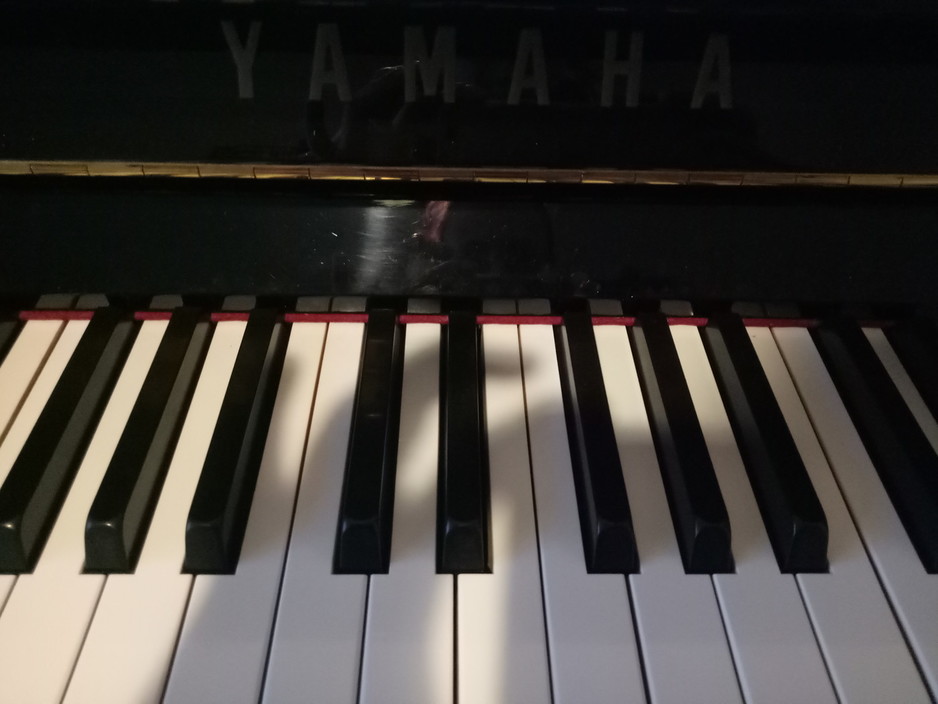 Professional Piano Tuition Pic 1