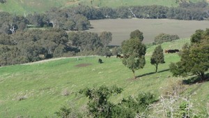 Sagechoice Pic 4 - Overlooking the beautiful Moorabool valley