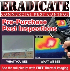 Eradicate Commercial Pest Control Pic 1