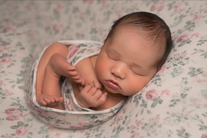 Sandpiper Photography Pic 5 - newborn photographer Sunshine Coast