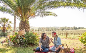 Cimicky Wines Pic 4 - Overlooking the panoramic vistas try a Vintage Picnic Basket