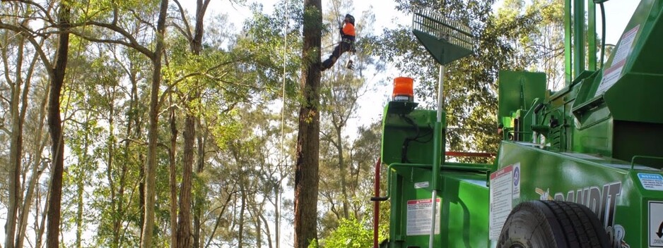 Cutting Edge Tree Maintenance Pic 1 - Cutting Edge Tree Maintenance Our team of professional arborists provide full service in tree care Tree removal pruning and dead wooding services and diagnose Call us today for a free quote