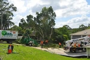 Cutting Edge Tree Maintenance Pic 3 - Looking for reliable trustworthy arborist services in the Newcastle region Call us today