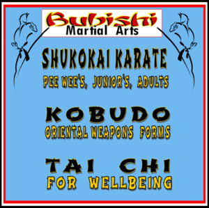 Bubishi Martial Arts Pic 2 - Classes for Pee Wees 37yrs Juniors 715yrs Adults 15yrs