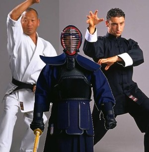 Bubishi Martial Arts Pic 3 - Martial Arts uniforms available in a wide variety at reasonable prices