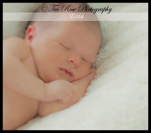 Tui Rose Photography Pic 3