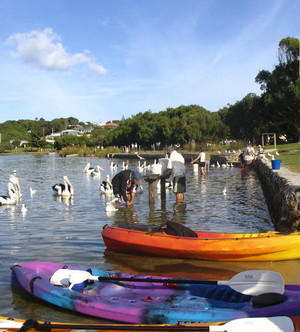 Turner Caravan Park Pic 3 - Fish filleting tables feeding the locals