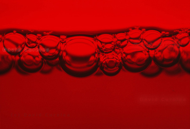 David Curelea Photography Pic 1 - Red Bubbles Fine Art Photography by David Curelea