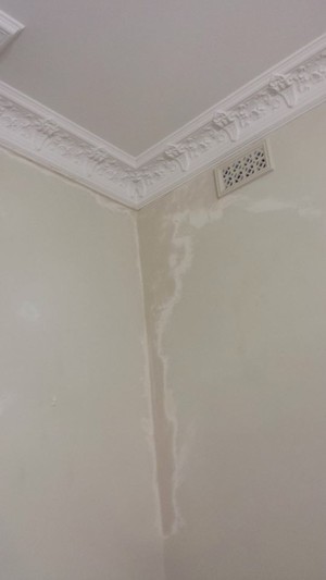 Trident Maintenance Services Pic 4 - Crack and plaster work