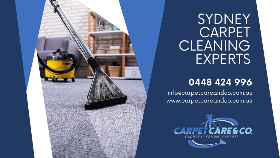 Carpet Care & Co. Pic 1