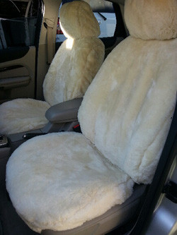 Canterbury Seat Covers & Accessories Pic 1