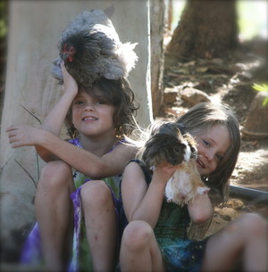 Ananda Marga River School Early Childhood Centre Pic 2 - Nurturing our animals forms part of our daily routine