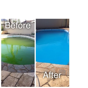 The Pool Butler Pic 3 - Green Pool Recovery