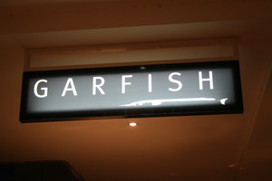 Garfish Crows Nest Pic 5