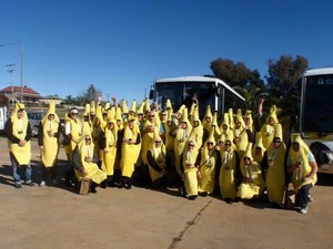 B C & E J Ellis Pty Ltd Pic 4 - A bunch of bananas