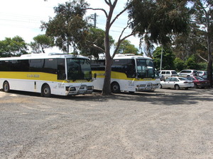 B C & E J Ellis Pty Ltd Pic 2 - A day at the Melbourne Zoo