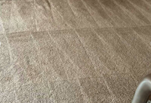 Carpet Cleaning Wynnum West Pic 2