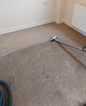 Carpet Cleaning Wynnum West Pic 4