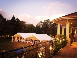 Gold Lion Marquees Pic 5