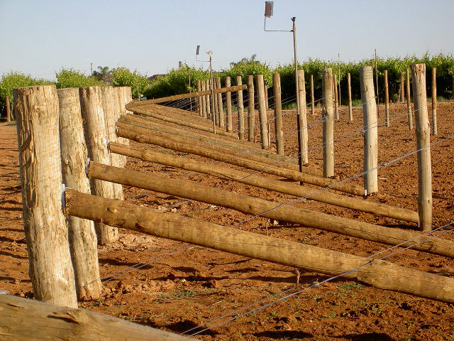 ViceBite Fencing Brackets Pic 1 - Vineyard development