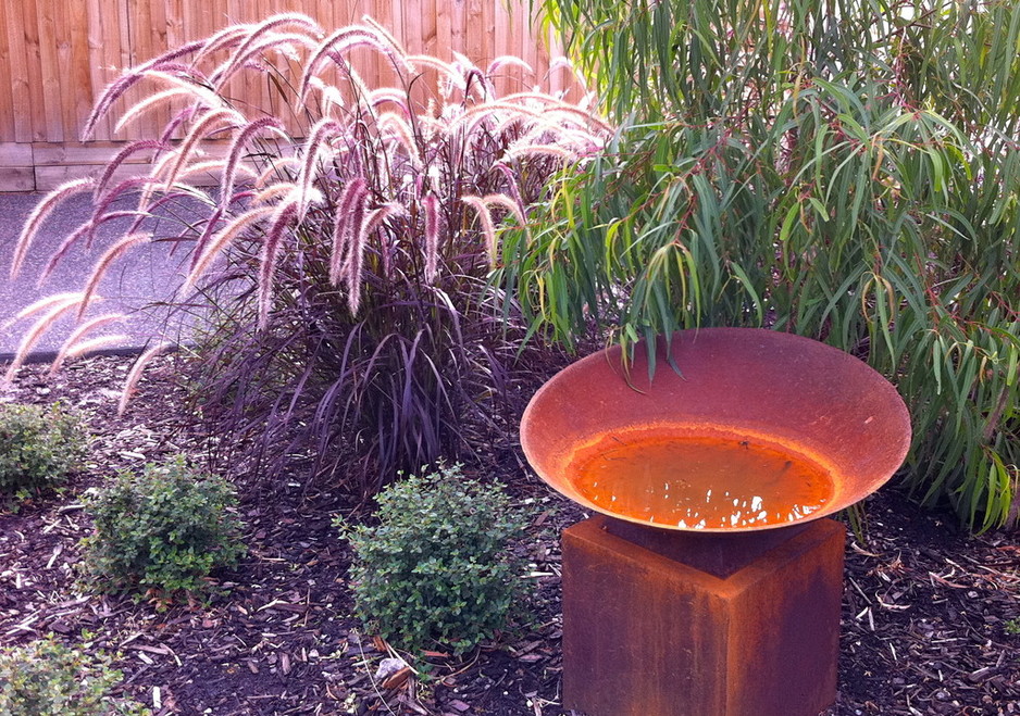 Bay Design Gardens Pic 1 - Dry tolerant plantings with corten steel feature bowl