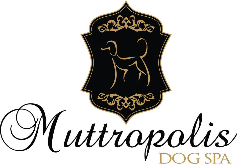 Muttropolis Dog Spa Pic 1