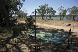 Left Of Elephant Sound Pic 3 - Location Recording NT