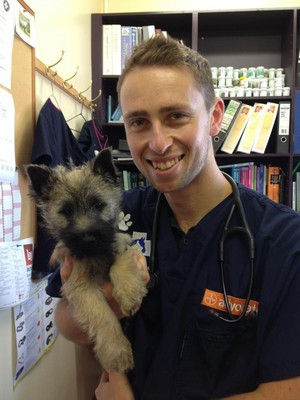 Bendigo Animal Hospital Pic 4 - A regular checkup allows your veterinarian to evaluate your pets health and diagnose any problem before it becomes serious