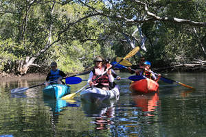 Byron Bay Eco Cruises & Kayaks Pic 2 - Come on our unique Eco Kayak Cruise SUP tour