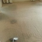 Canberra Carpet Steam Cleaning Pic 3 - Before we steam cleaned carpet