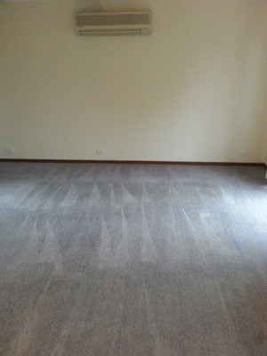 Canberra Carpet Steam Cleaning Pic 2