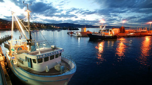 Bombora Seafood Pic 3 - Watch the trawlers dock below whilst easting your fresh seafood