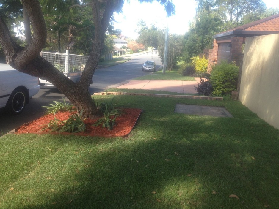 Rejuven8 Property Care Pic 1 - Front garden makeover Removed trees laid new turf and put in a garden border and mulched