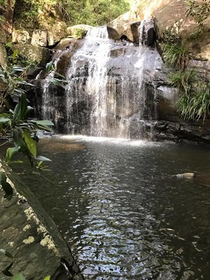 Gully Falls House Pic 5 - Barrington Tops Accomodation