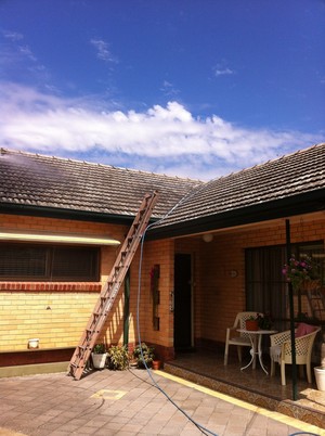 Steve's roof restorations Pic 5 - A moss and mildew coated roof tile