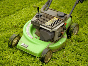 Lola's Cleaning Pic 2 - Garden Maintenance