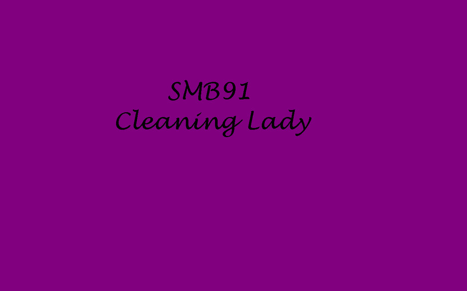 SMB91 Cleaning Lady Pic 1 - SMB91 Cleaning Lady