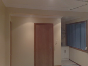 V.R Professional Painting & Decorating Services Pic 5