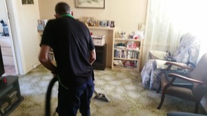 EZY KLEEN carpet & upholstery cleaning Pic 3 - Tony steam cleaning carpets First clean in 20 years