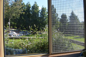 Cats in the Country Pic 2 - The large windows that are in each suite the cats can enjoy the sun and the garden views