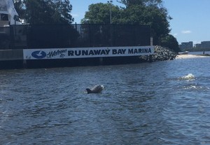 Gold Coast Marine Training Pic 2