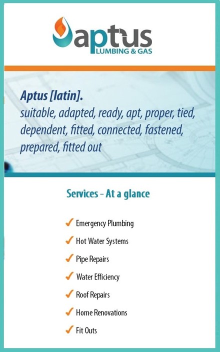 Aptus Plumbing & Gas Pic 1