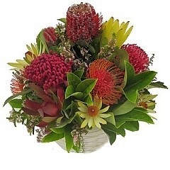 W A Pattinson Florist Pic 5