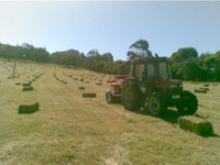 Peninsula Farm Care Services Pic 2 - Hay Bailing